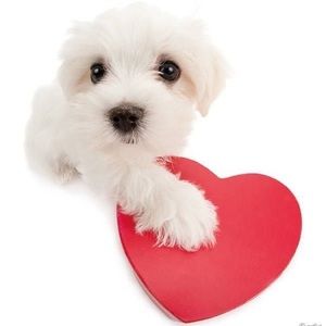 Meet your Posher, Ty’liah